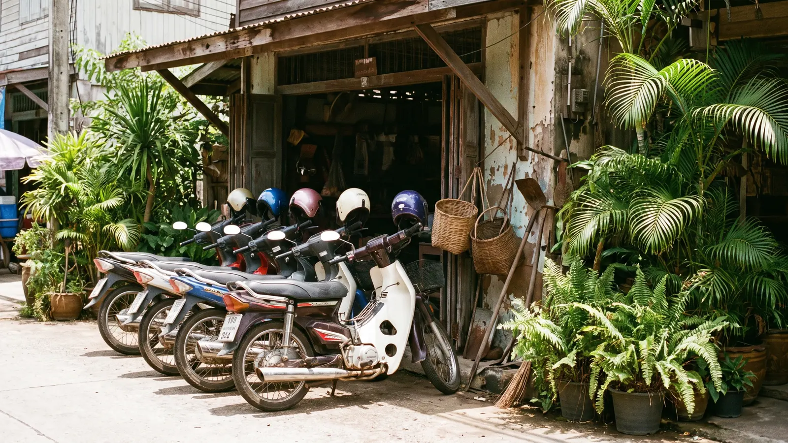 Cars & Motorbikes in Lak Si, Bangkok | MyThaiCity