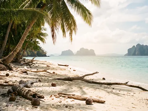 Nature, Beaches & Parks (AI concept image)